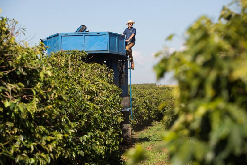 Café da Chapada de Minas impulsiona avanço dos cafés especiais no Brasil