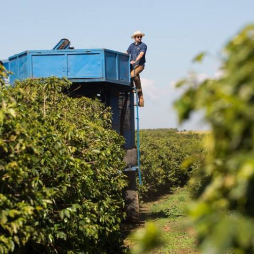 Café da Chapada de Minas impulsiona avanço dos cafés especiais no Brasil