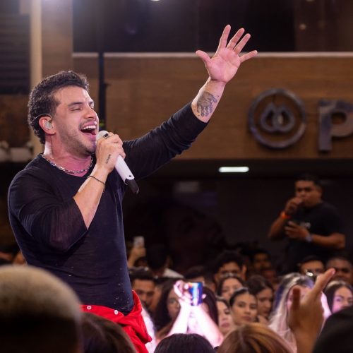 De grandes hits a palcos lotados: Ávine Vinny fecha 2025 em alta e projeta novos passos para 2026