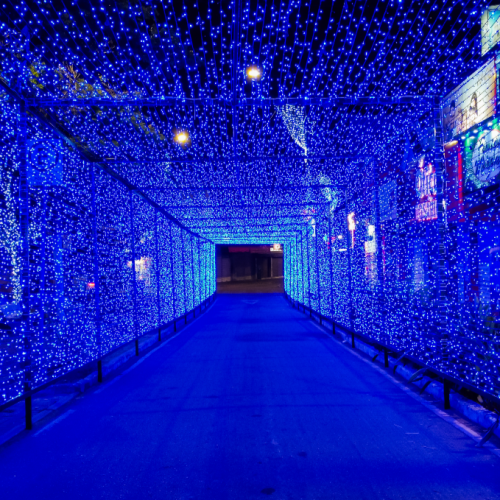 Barbacena acende as luzes do Sonho de Natal 2025 nesta sexta-feira